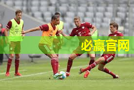 室外乒乓球台不起球怎么办.txt