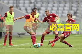 运动场地材料的性能测试和检测标准有哪些？
