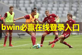 成人室内健身吊环