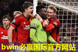 成人室内健身吊环