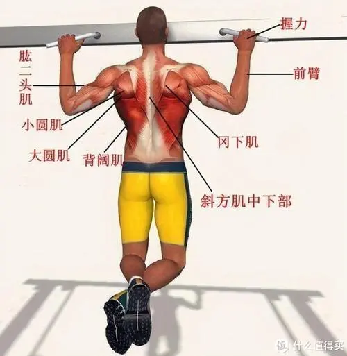 泰尼飞网球拍315克